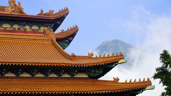 Revitalisez votre garde-robe avec les bienfaits du lin : découvrez ses avantages uniques !