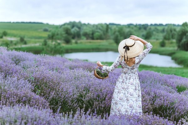 Retour dans le style des années 60 : comment bien choisir sa robe ?