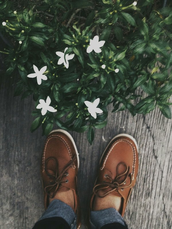 Nouvelle collection de chaussures Mephisto : Trouvez la paire parfaite pour chaque occasion