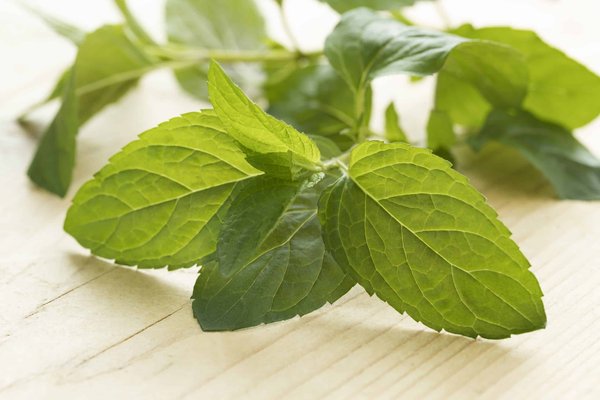 Est-ce que le chocolat est bon pour la gastro ?